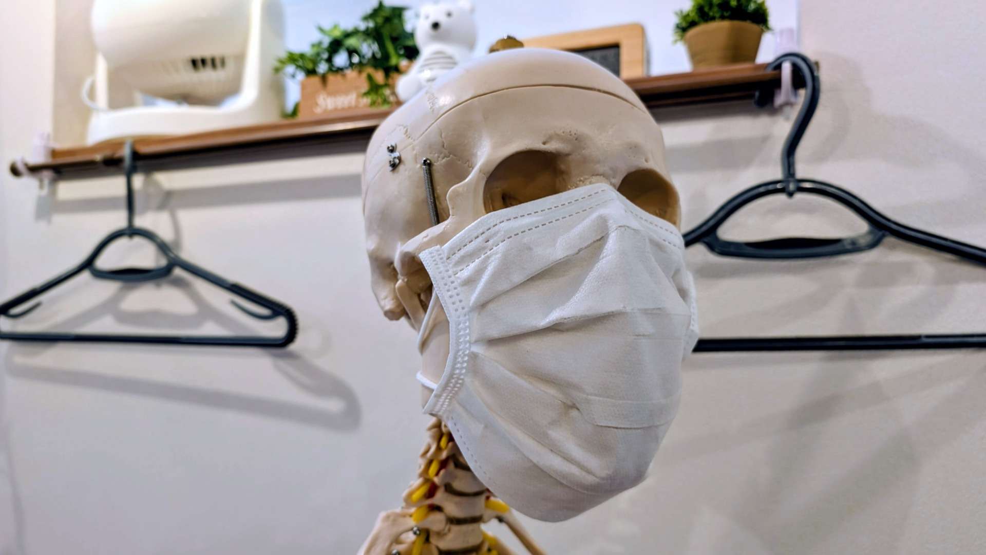 4月の身体変調と「筋膜」の相関:環境変化がもたらす緊張型頭痛・肩こりのメカニズムと対策